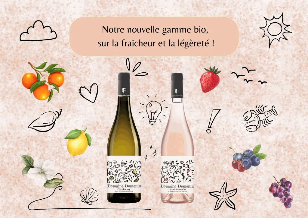 SITE WEB - DOMAINE DOMENIU (1).webp