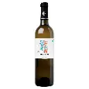 Sauvignon blanc (copie)